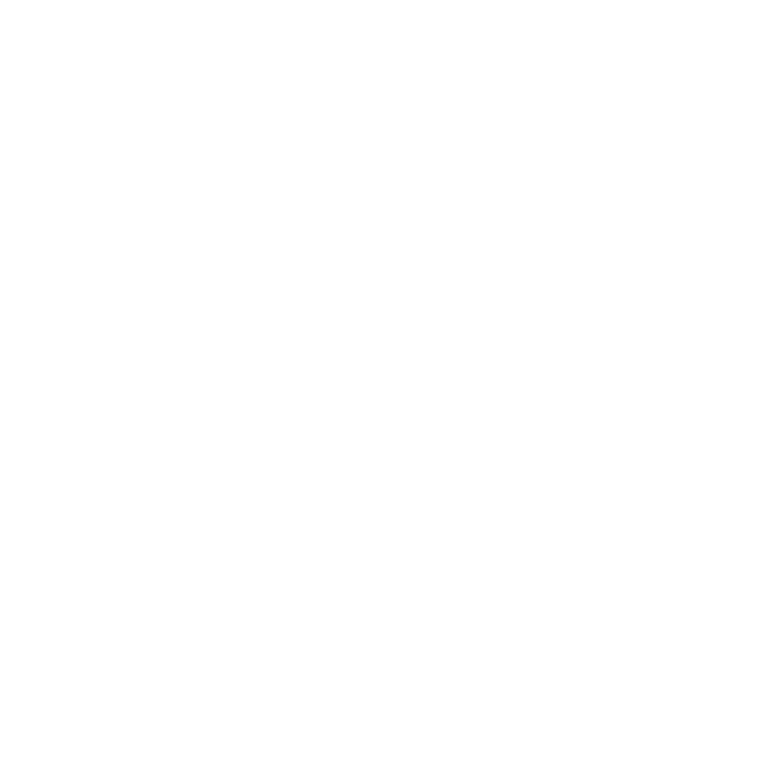 Moet Hennessey