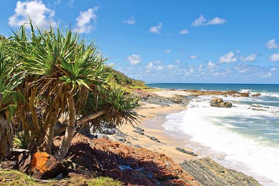 best beach camping spots nsw