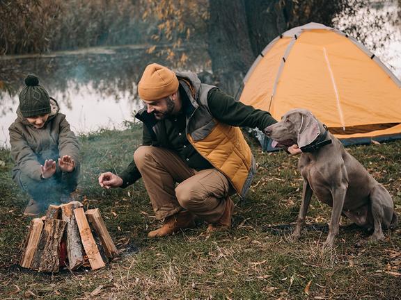 10 best dog friendly camping spots in nsw