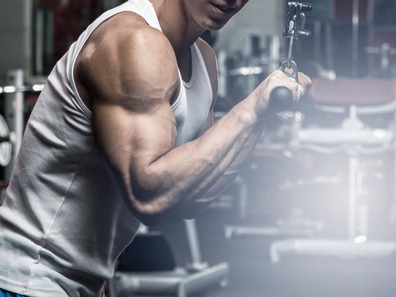 Best triceps exercises