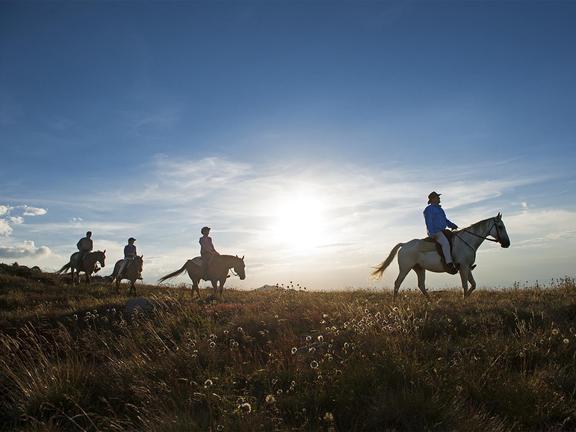 Men horse riding