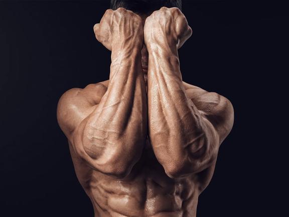 Close up of muscular man's forearms